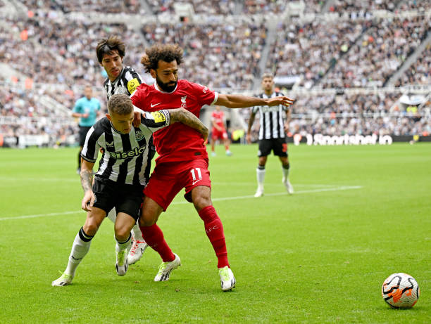 狂热队的健 狂热队的健